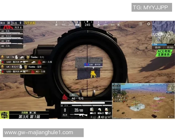 和平精英战术RNG阵地战体系的深度解析与实战应用探讨